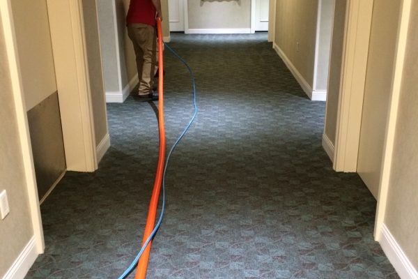 hotel carpet cleaning