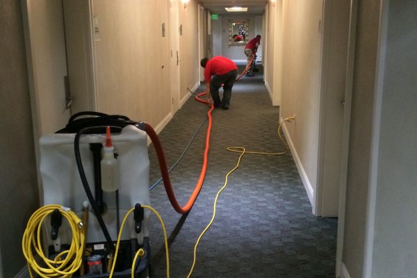 resort carpet cleaning