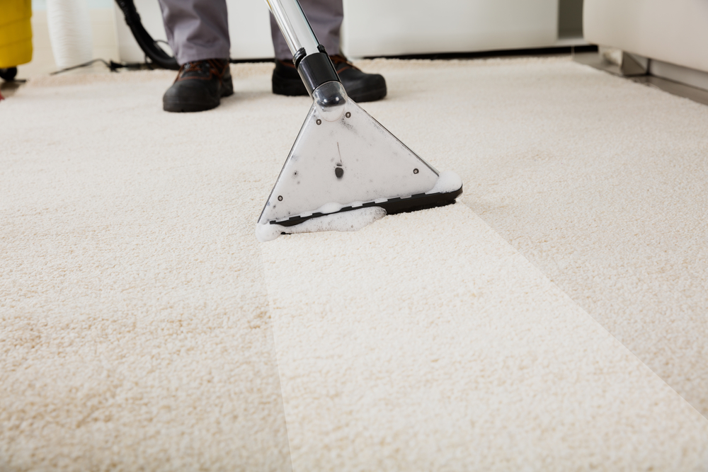 carpet cleaning